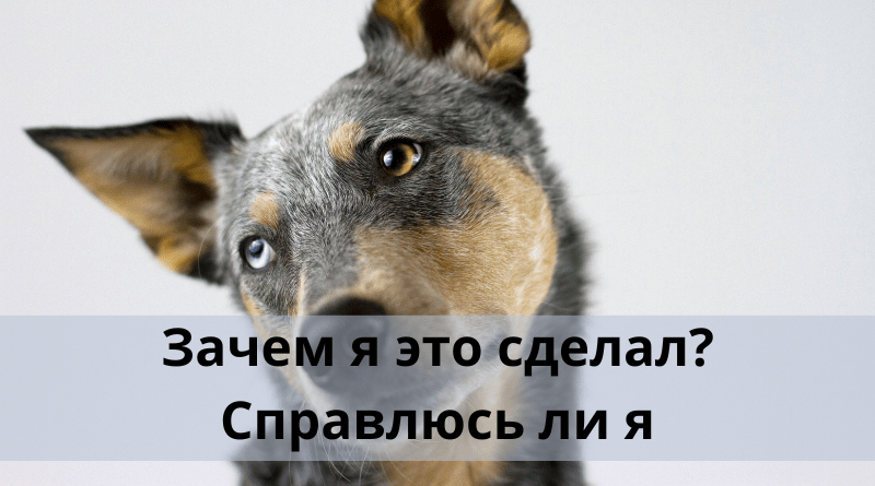 Зачем я это сделал? Справлюсь ли я?