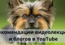 Рекомендации видеолекций и блогов в YouTube