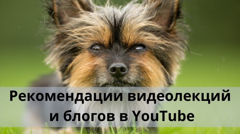 Рекомендации видеолекций и блогов в YouTube