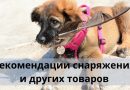 Рекомендации снаряжения и других товаров для животных