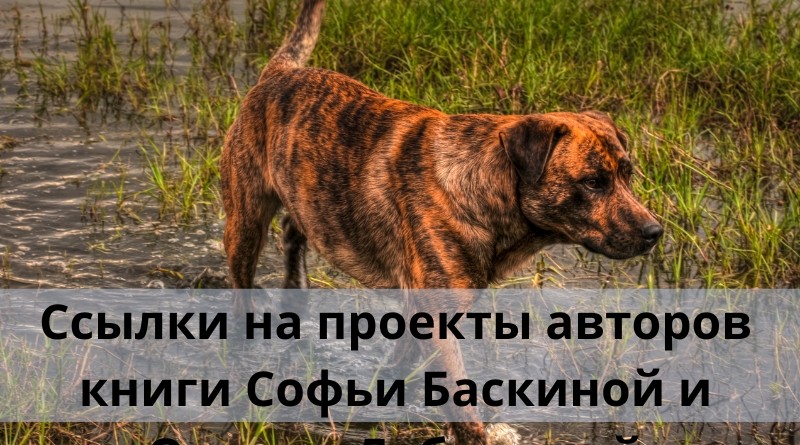 Обучение