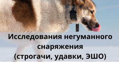 Исследования негуманного снаряжения (строгачи, удавки, ЭШО)