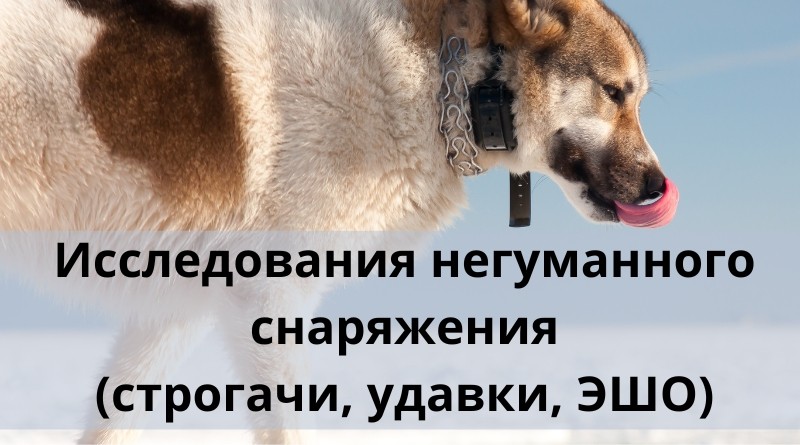 Исследования негуманного снаряжения (строгачи, удавки, ЭШО)