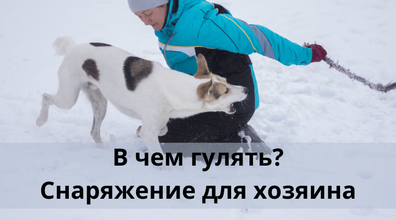 В чем гулять? Снаряжение для хозяина