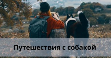 Путешествия с собакой